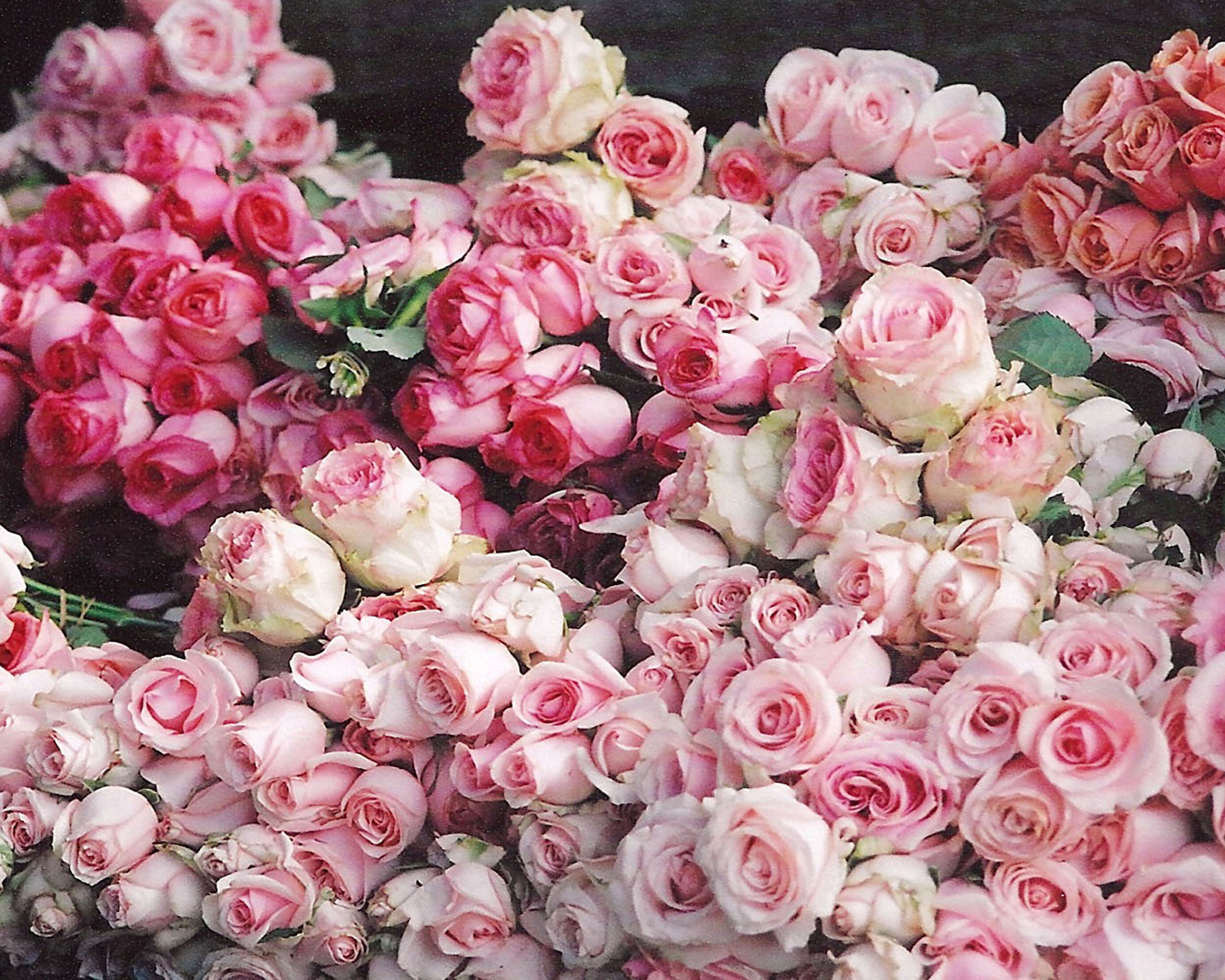 White Roses Bouquet Tumblr